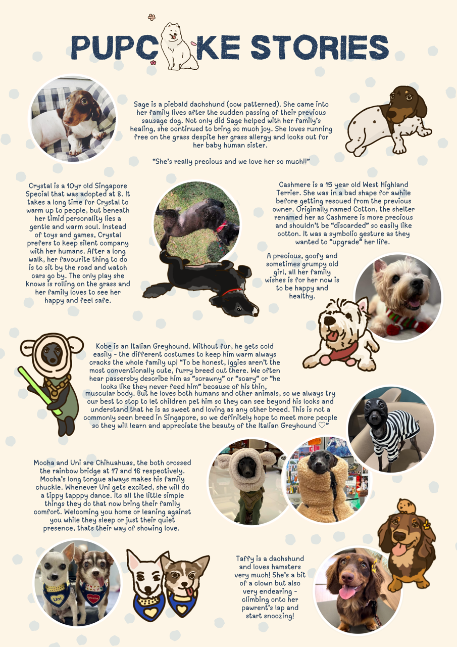 Pupcake Parade Transparent Sticker Sheet A5