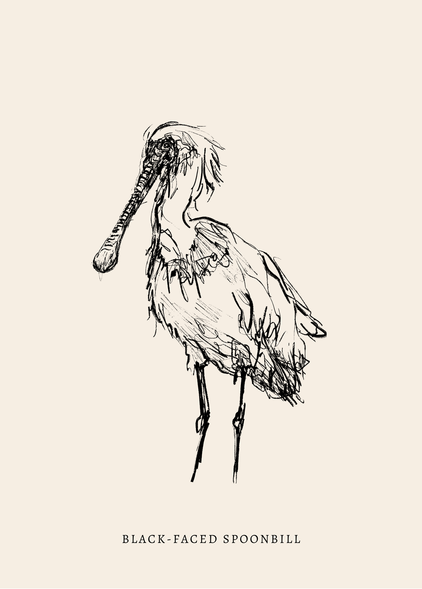 Endangered Animals Postcard (Individual)