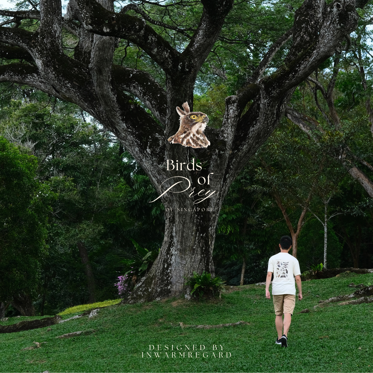 Birds of Prey Singapore Oversized T-Shirt