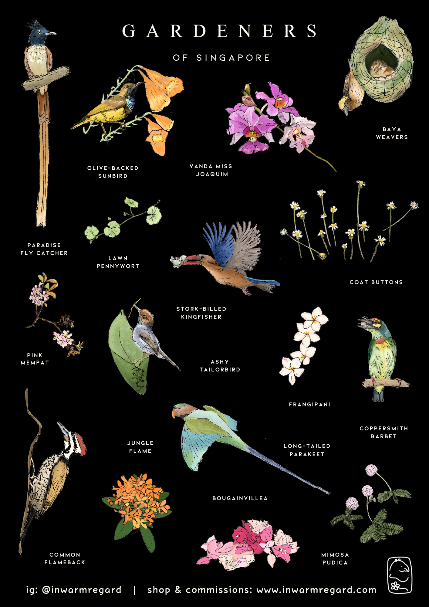 Gardeners of Singapore Sticker Sheet - Transparent A6