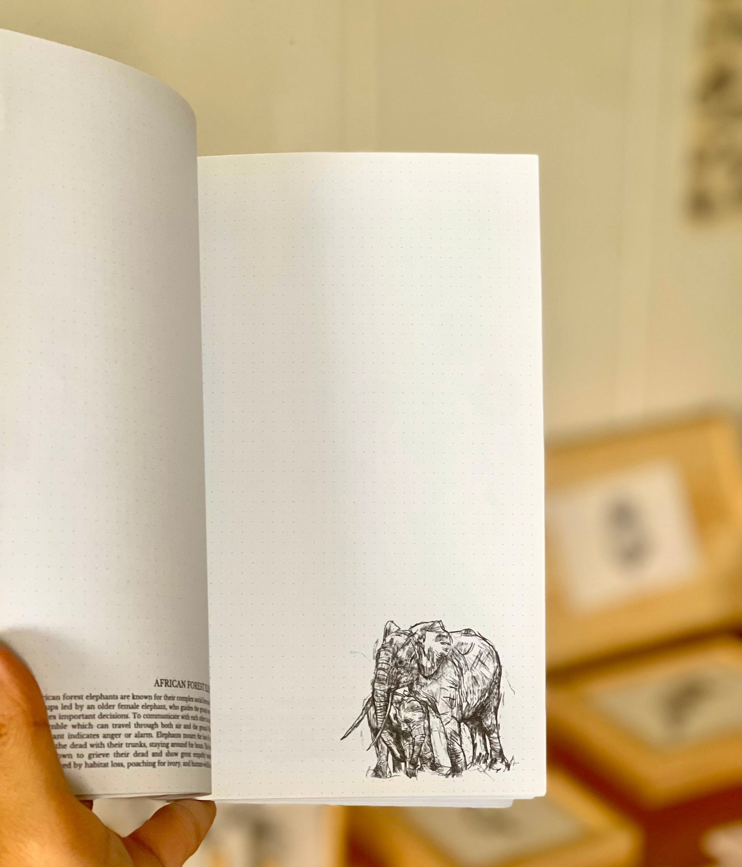 (Sold out) - Lives On A Thread Notebook