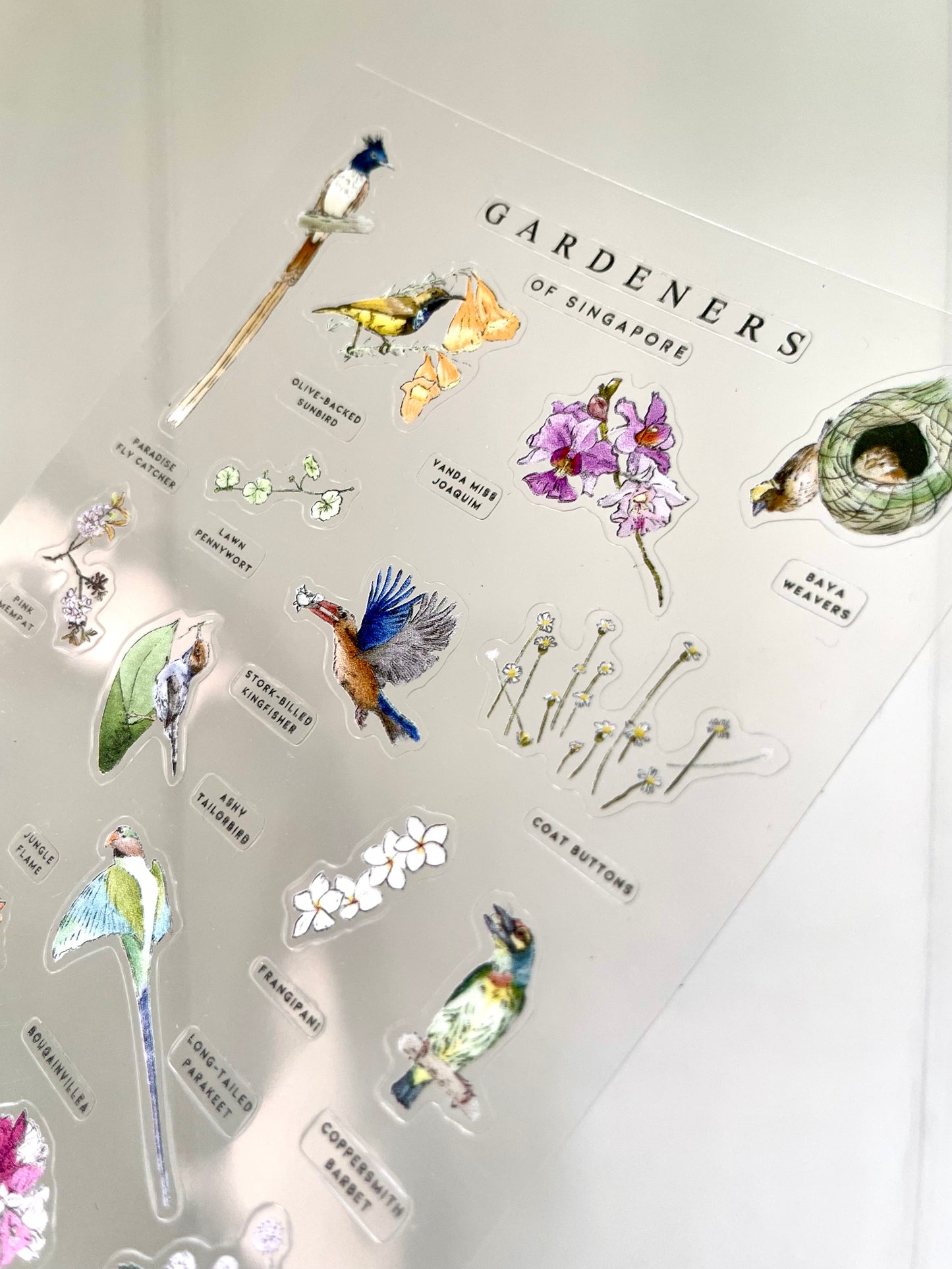 Gardeners of Singapore Sticker Sheet - Transparent A6