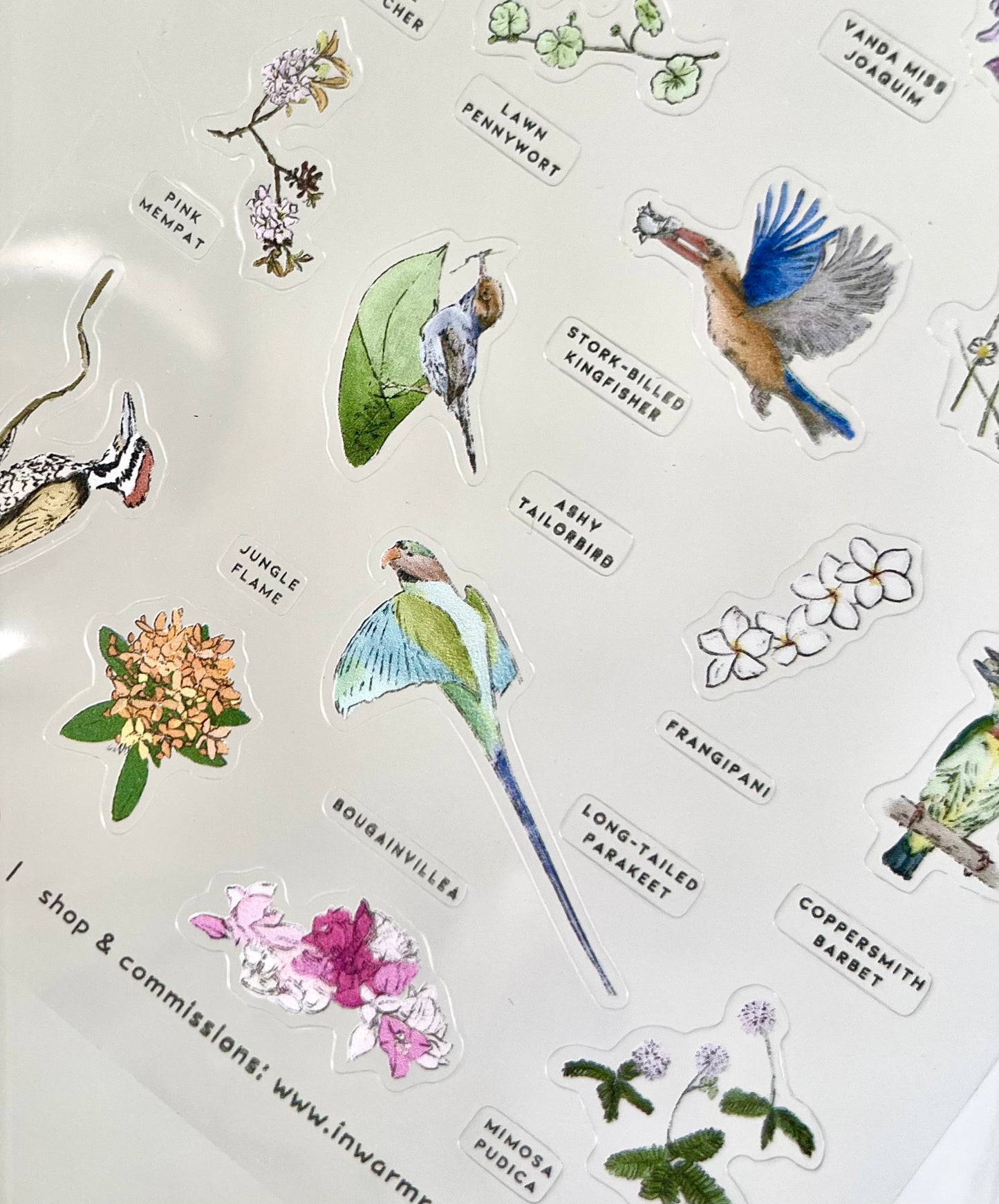 Gardeners of Singapore Sticker Sheet - Transparent A6
