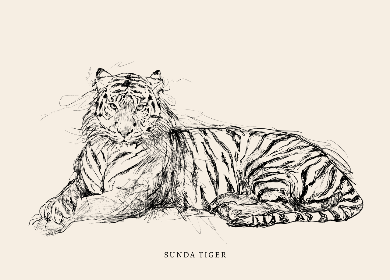 Endangered Animals Postcard (Individual)