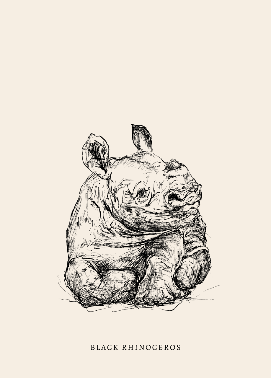 Endangered Animals Postcard (Individual)