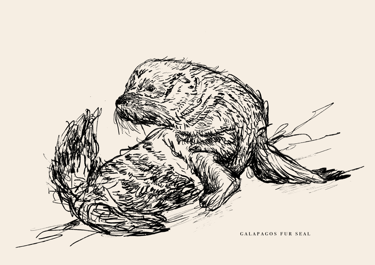 Endangered Animals Postcard (Individual)