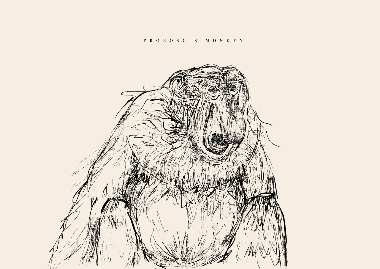 Endangered Animals Postcard (Individual)