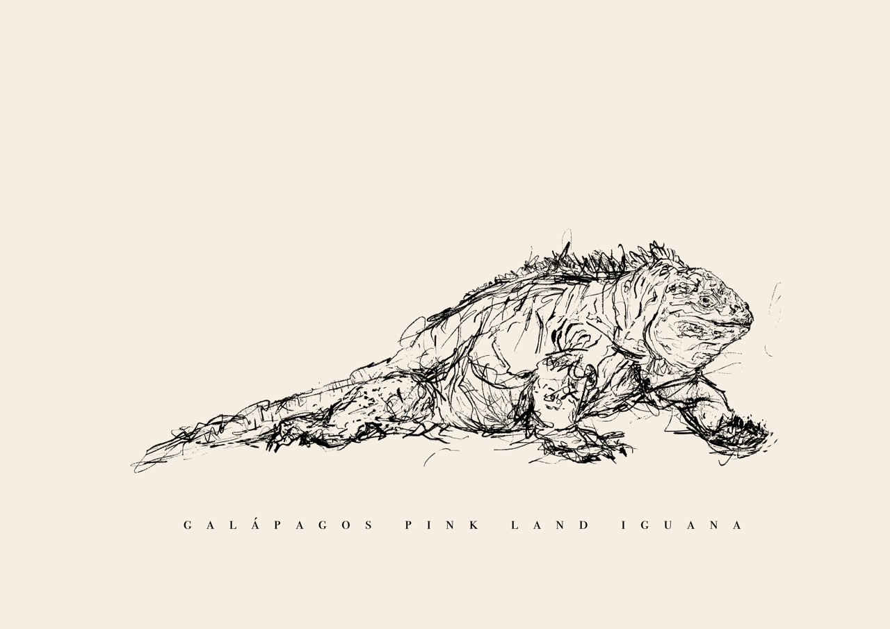 Endangered Animals Postcard (Individual)