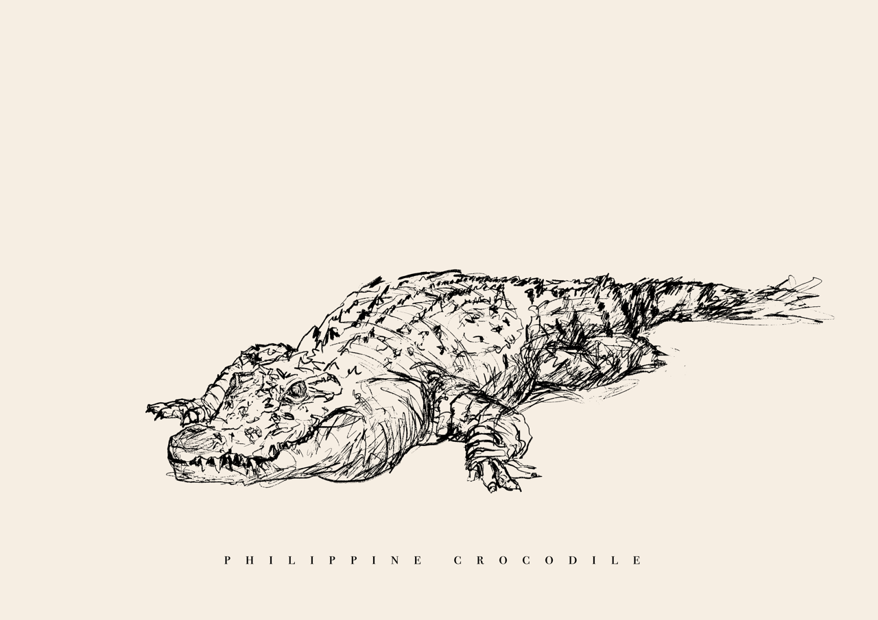 Endangered Animals Postcard (Individual)