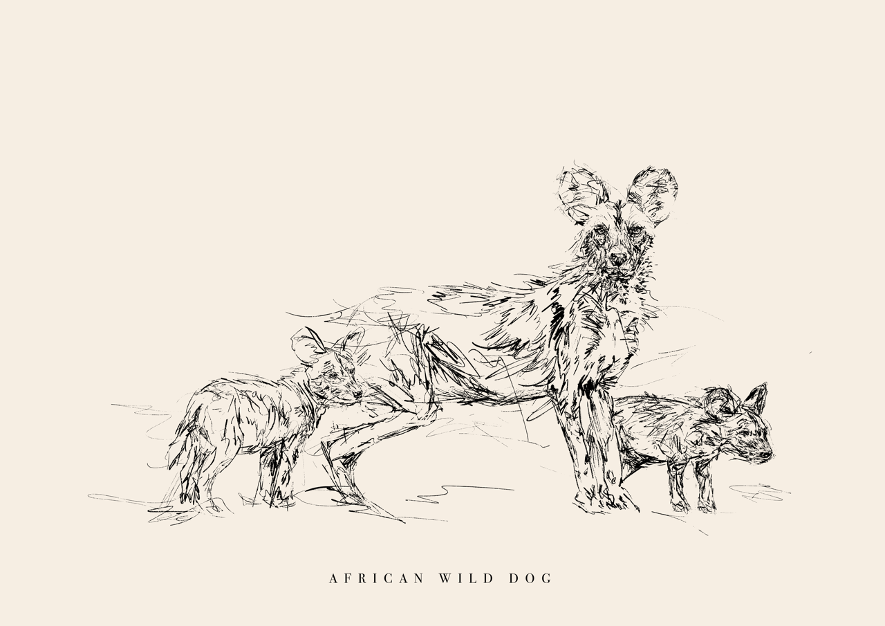 Endangered Animals Postcard (Individual)