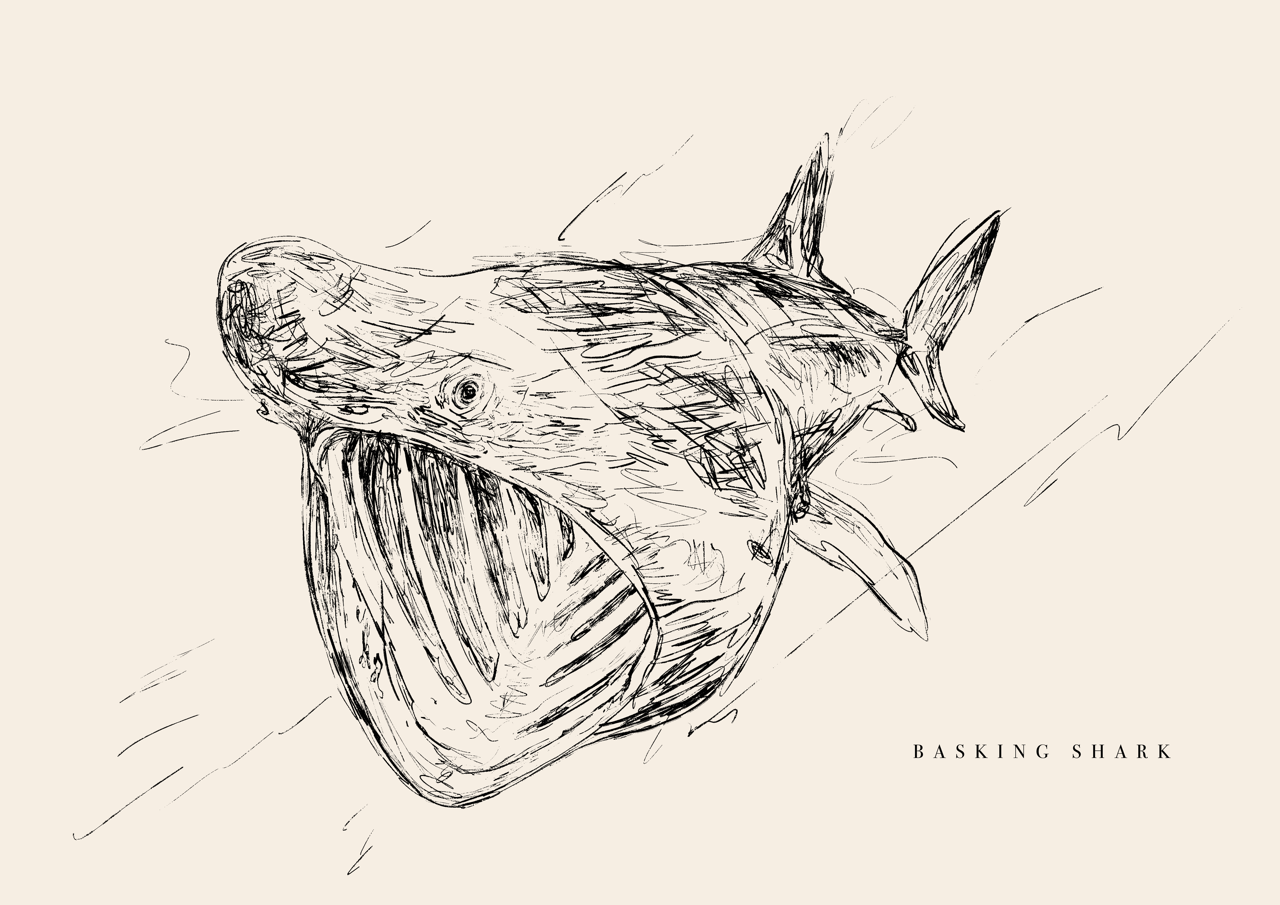 Endangered Animals Postcard (Individual)