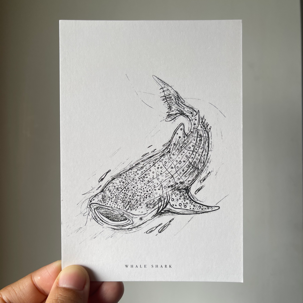 Endangered Animals Postcard (Individual)