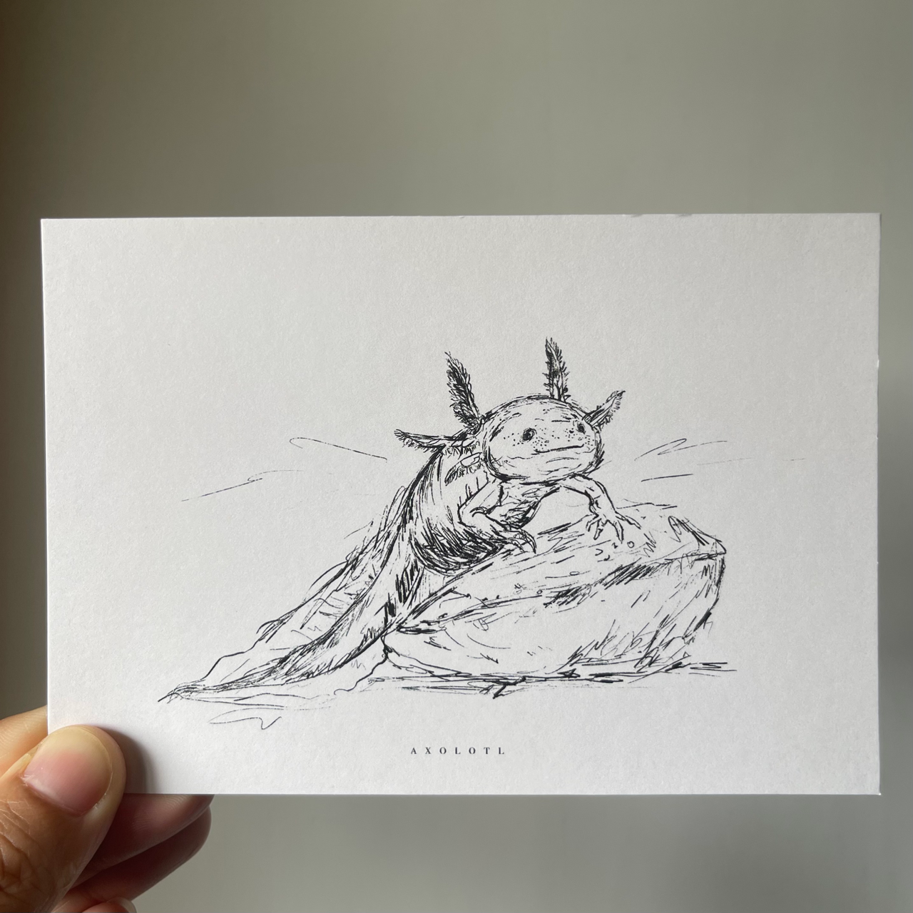 Endangered Animals Postcard (Individual)