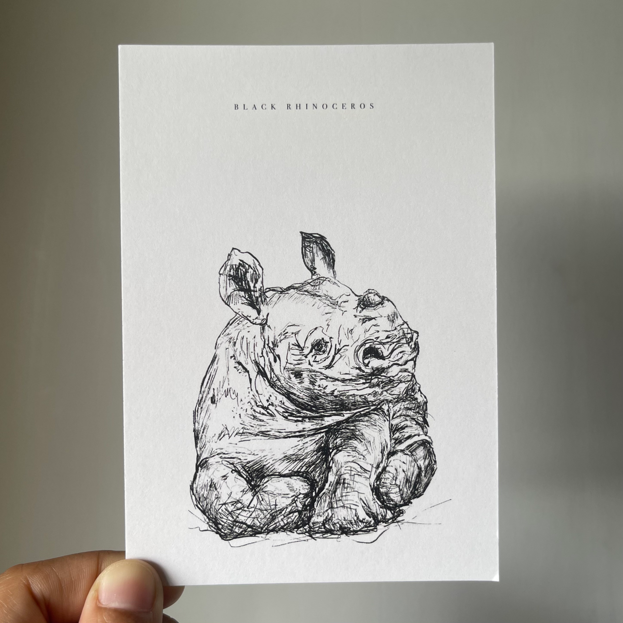 Endangered Animals Postcard (Individual)