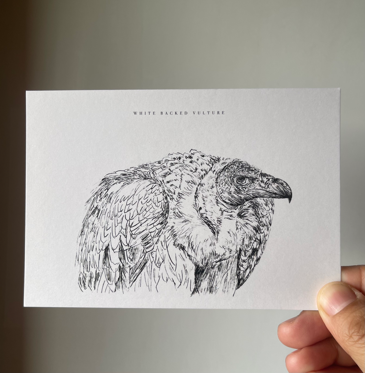 Endangered Animals Postcard (Individual)