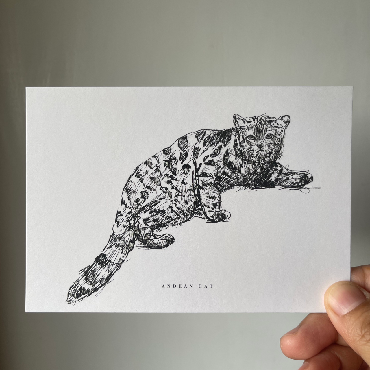 Endangered Animals Postcard (Individual)