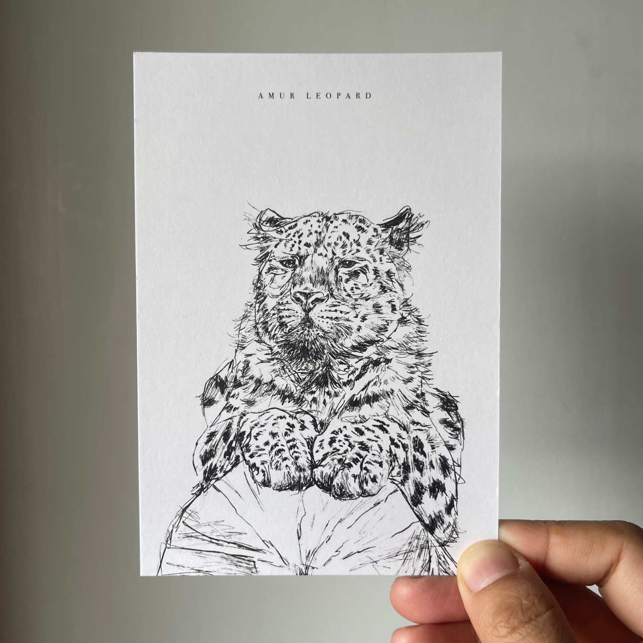 Endangered Animals Postcard (Individual)