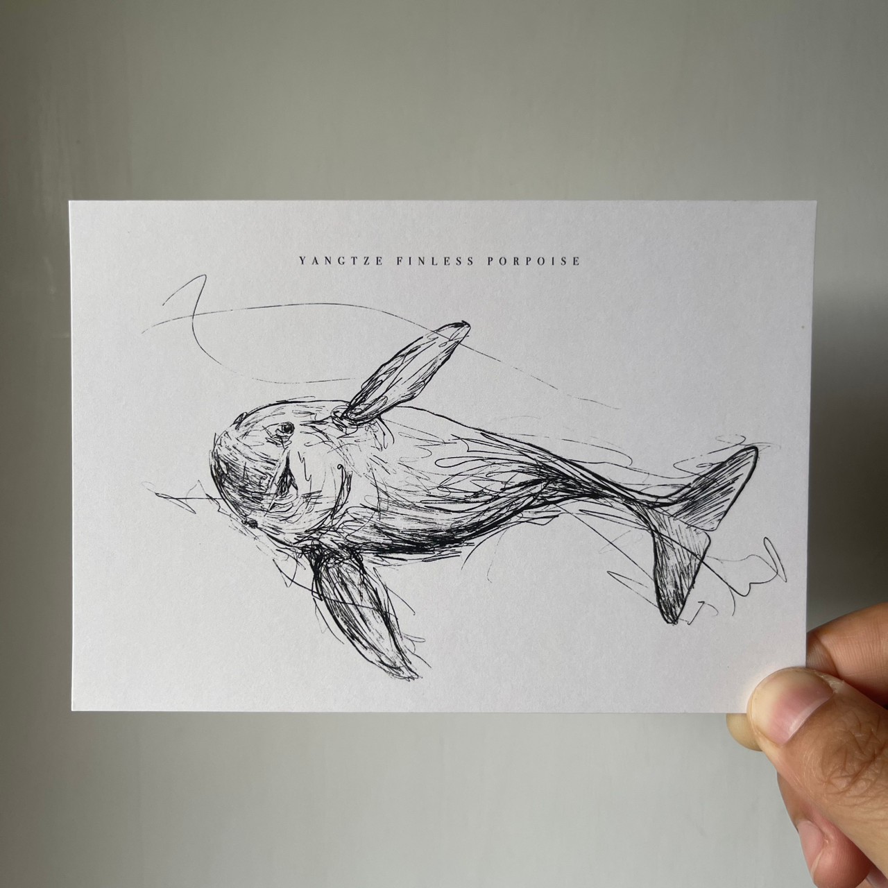 Endangered Animals Postcard (Individual)