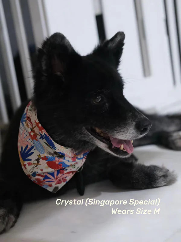 Reversible Pet Bandana - Batik Kampung