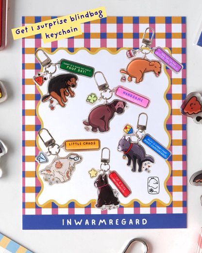 Poopy Keychain Blind bag - 6 designs!