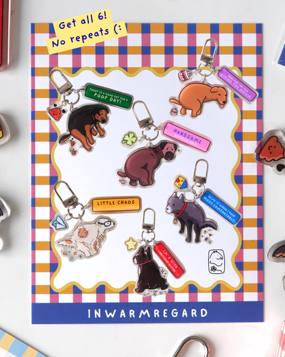 Poopy Keychain Blind bag - 6 designs!