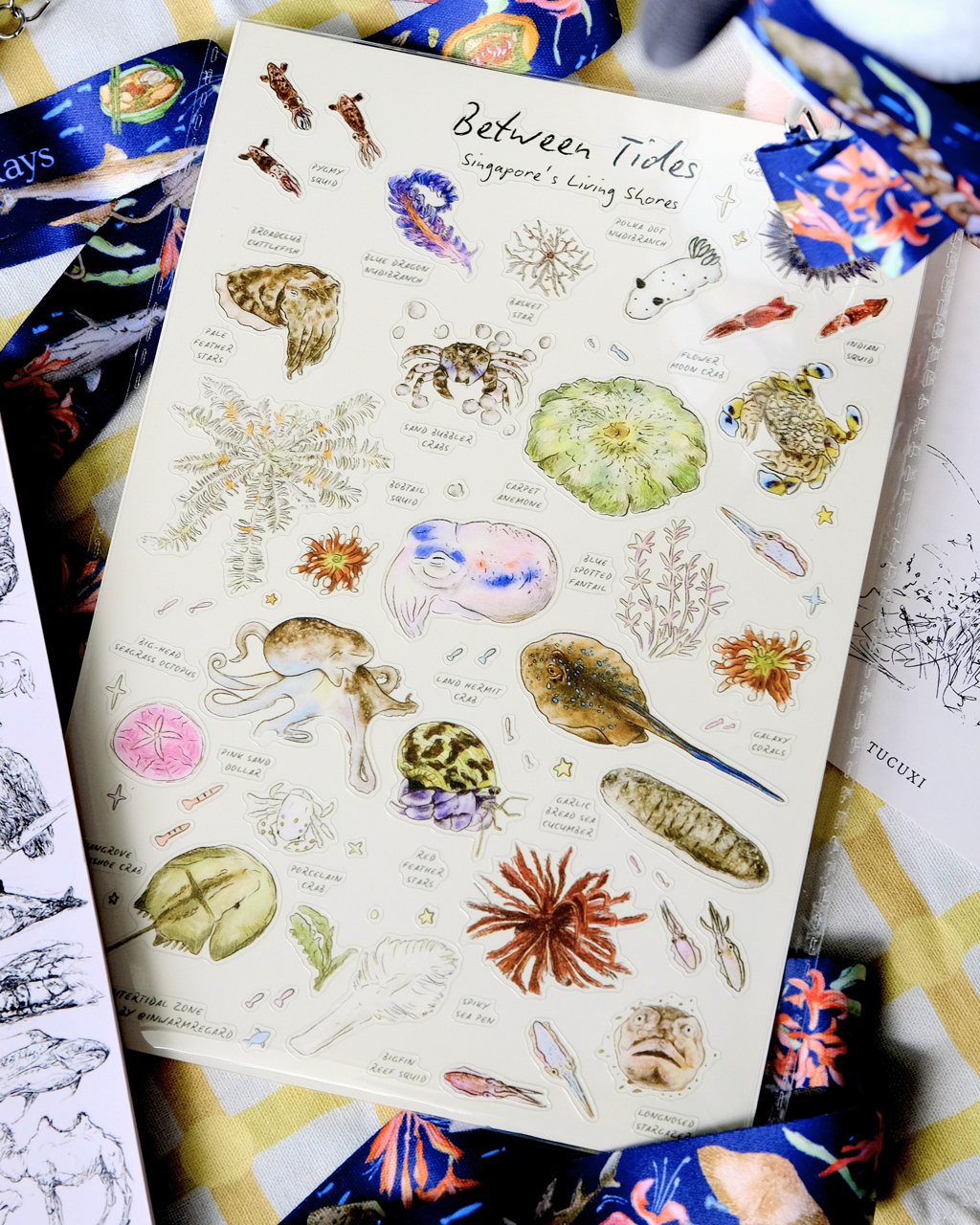 Between Tides - Singapore's Living Shores - Transparent Sticker Sheet A5