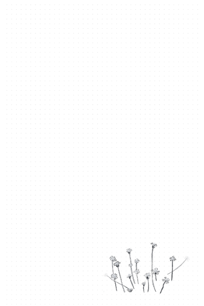 Birds Notebook