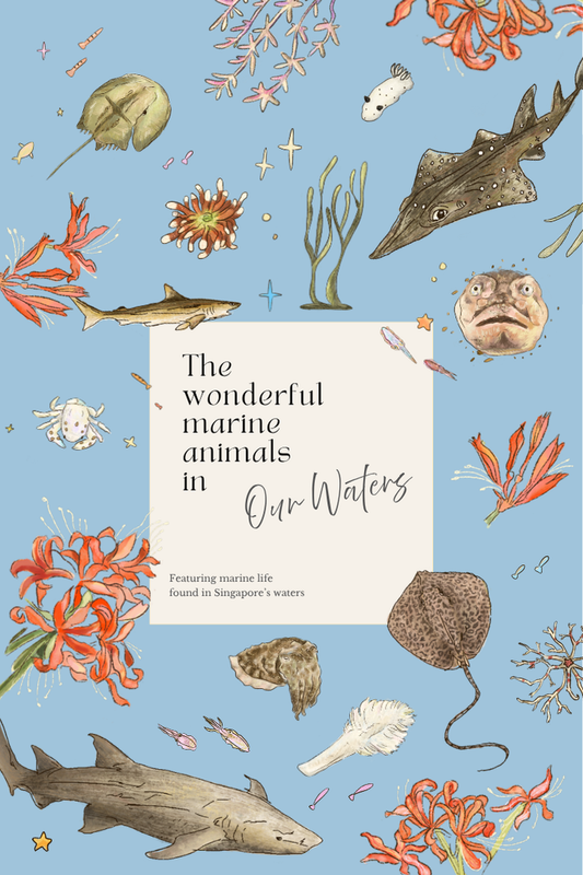 Marine Animals Notebook