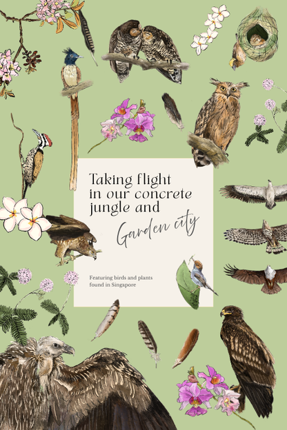 Birds Notebook
