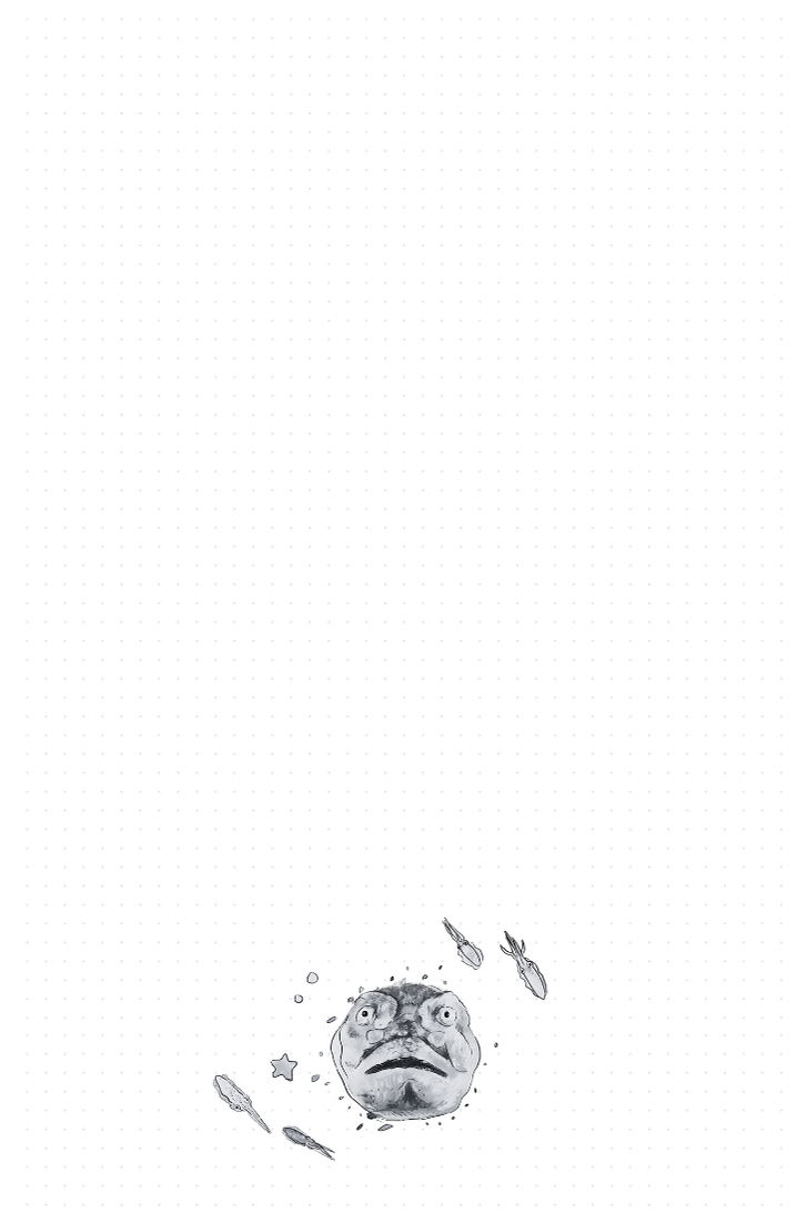 Marine Animals Notebook