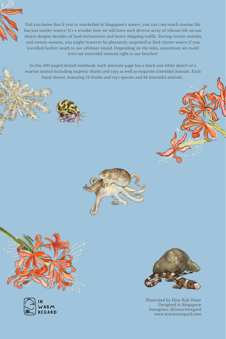 Marine Animals Notebook