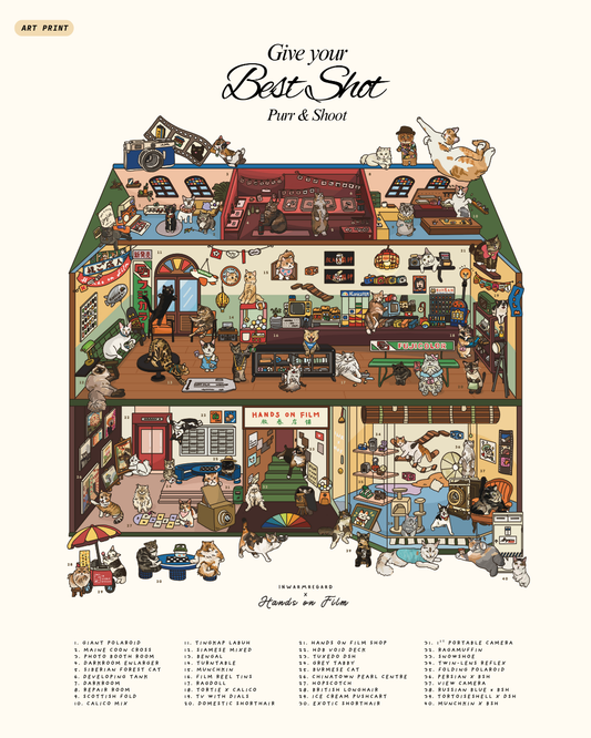 Give Your Best Shot - Cats Art Print