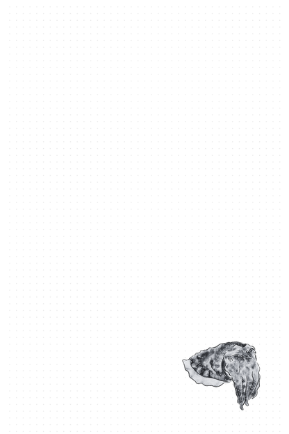 Marine Animals Notebook