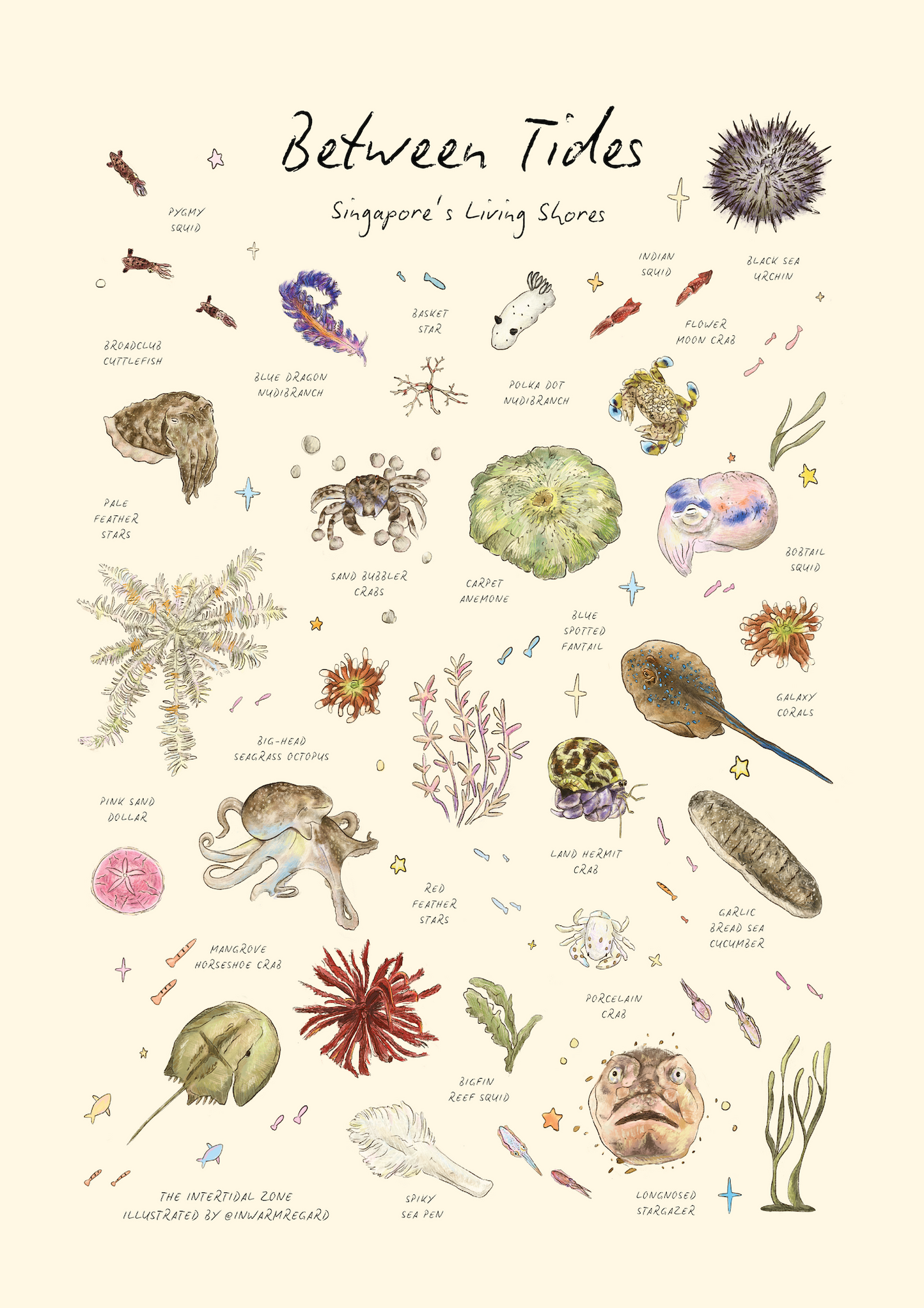 Between Tides - Singapore's Living Shores - Art Print