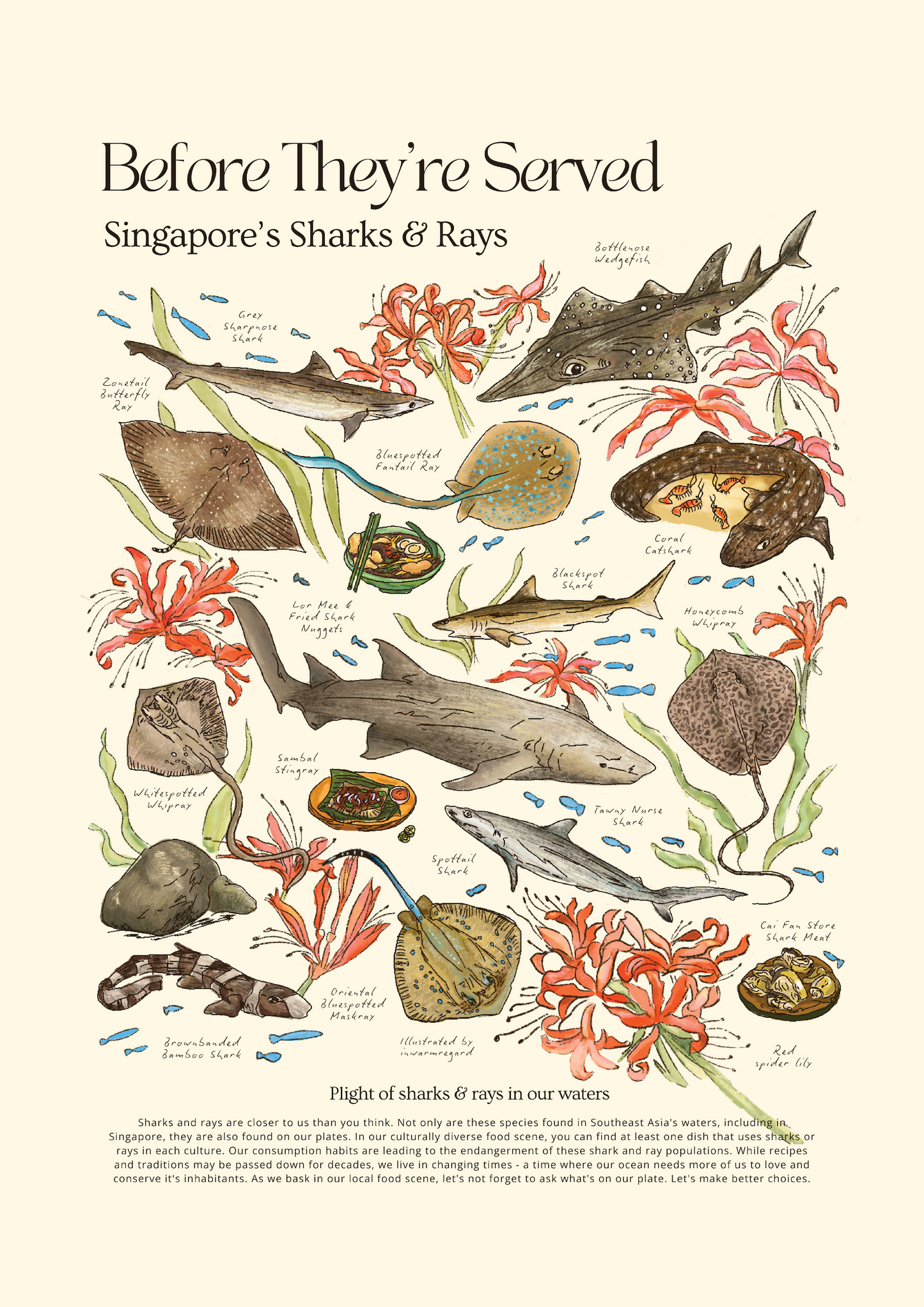 Before They're Served - Singapore's Sharks and Rays - Art Print