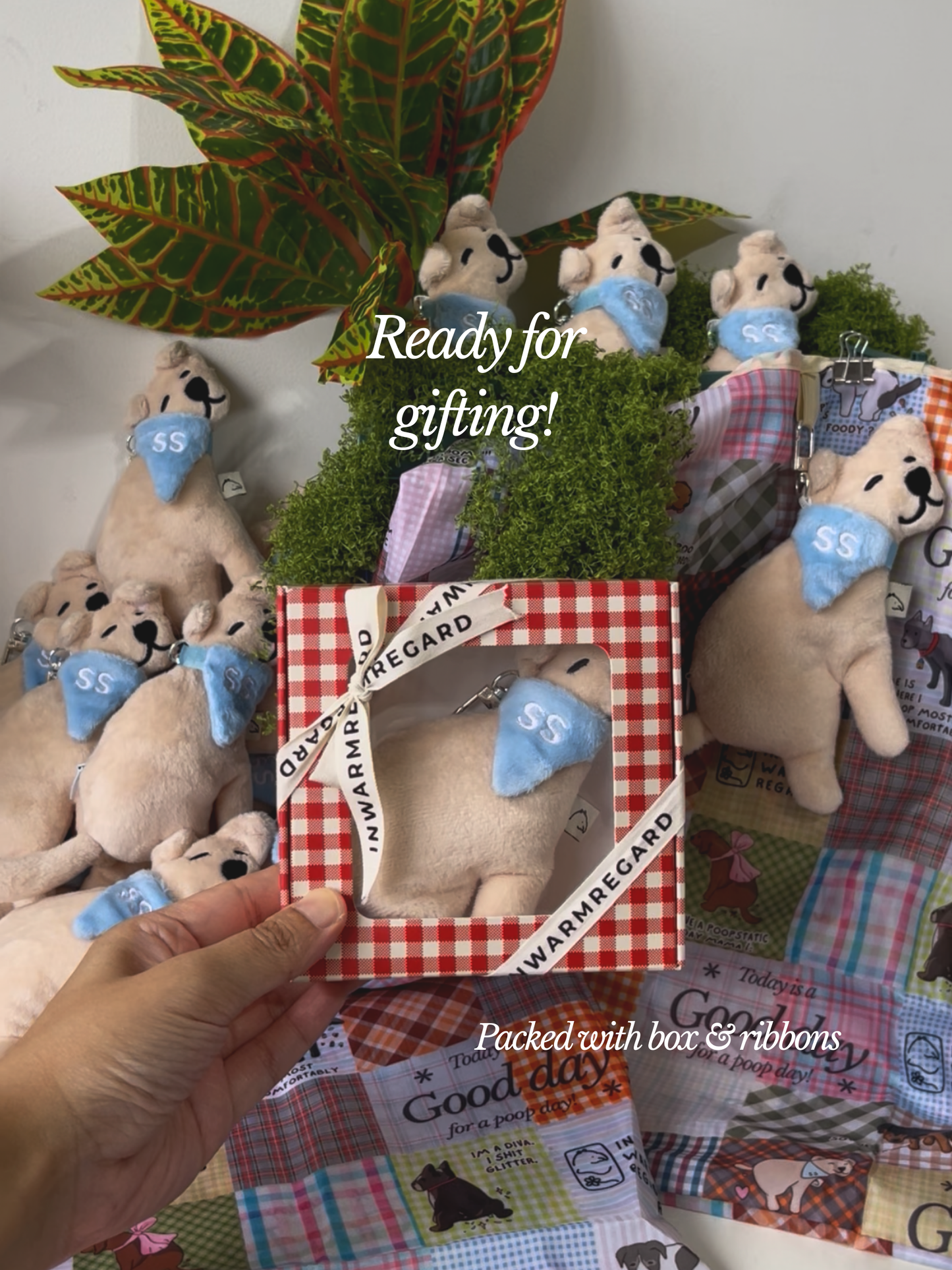 [BACK ORDERS!] Poopy Plushie with Reusable bag