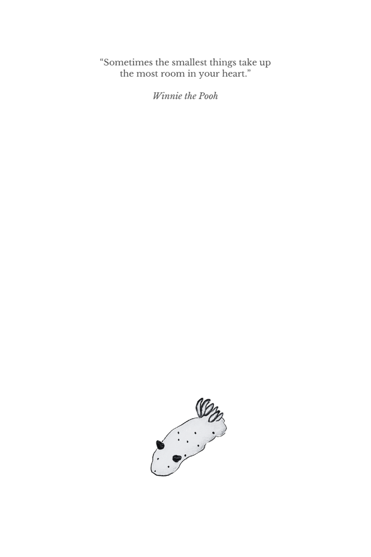 Marine Animals Notebook