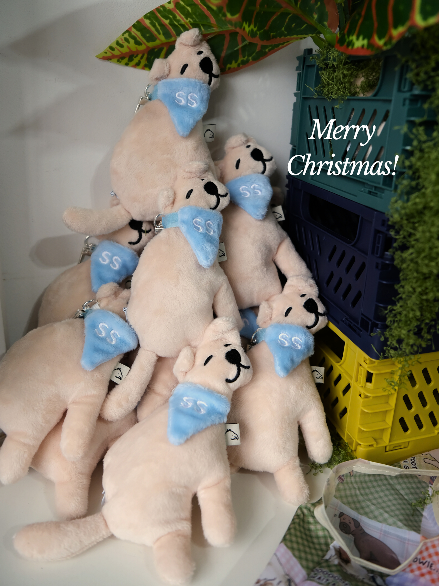 [BACK ORDERS!] Poopy Plushie with Reusable bag