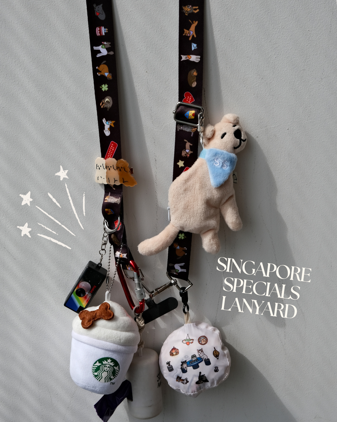 Singapore Special Lanyard