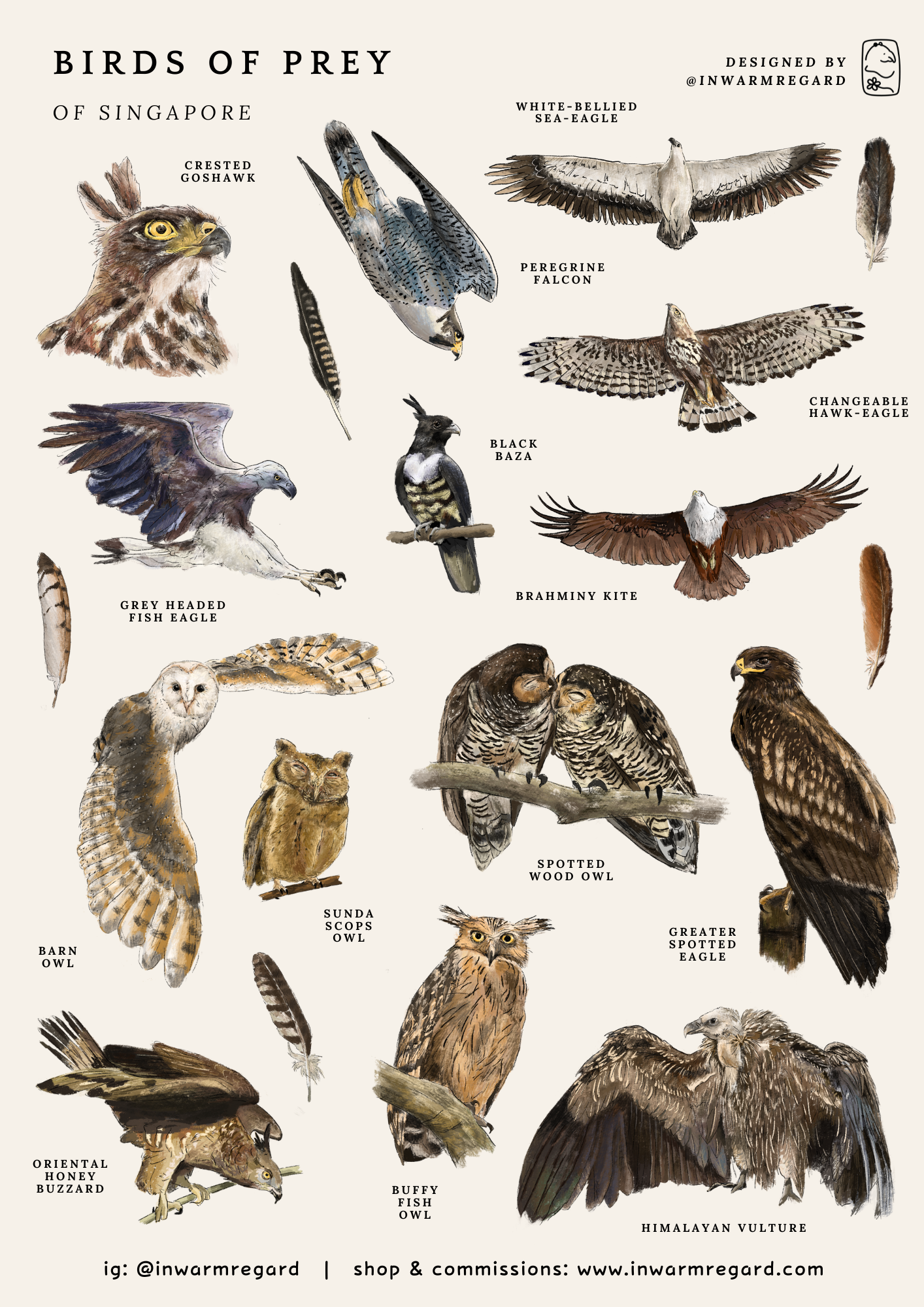Birds of Prey Singapore Sticker Sheet (A6)