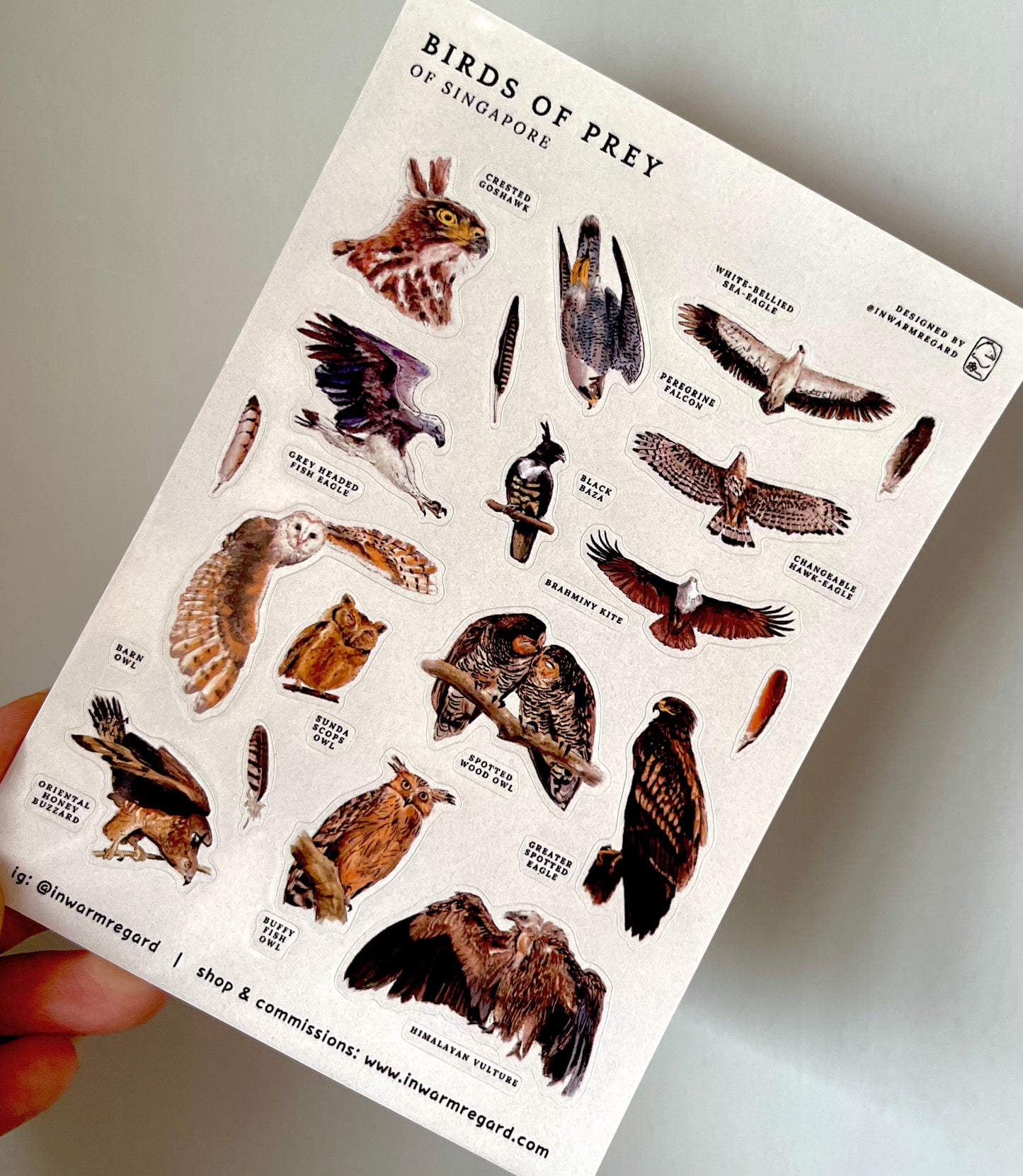 Birds of Prey Singapore Sticker Sheet (A6)