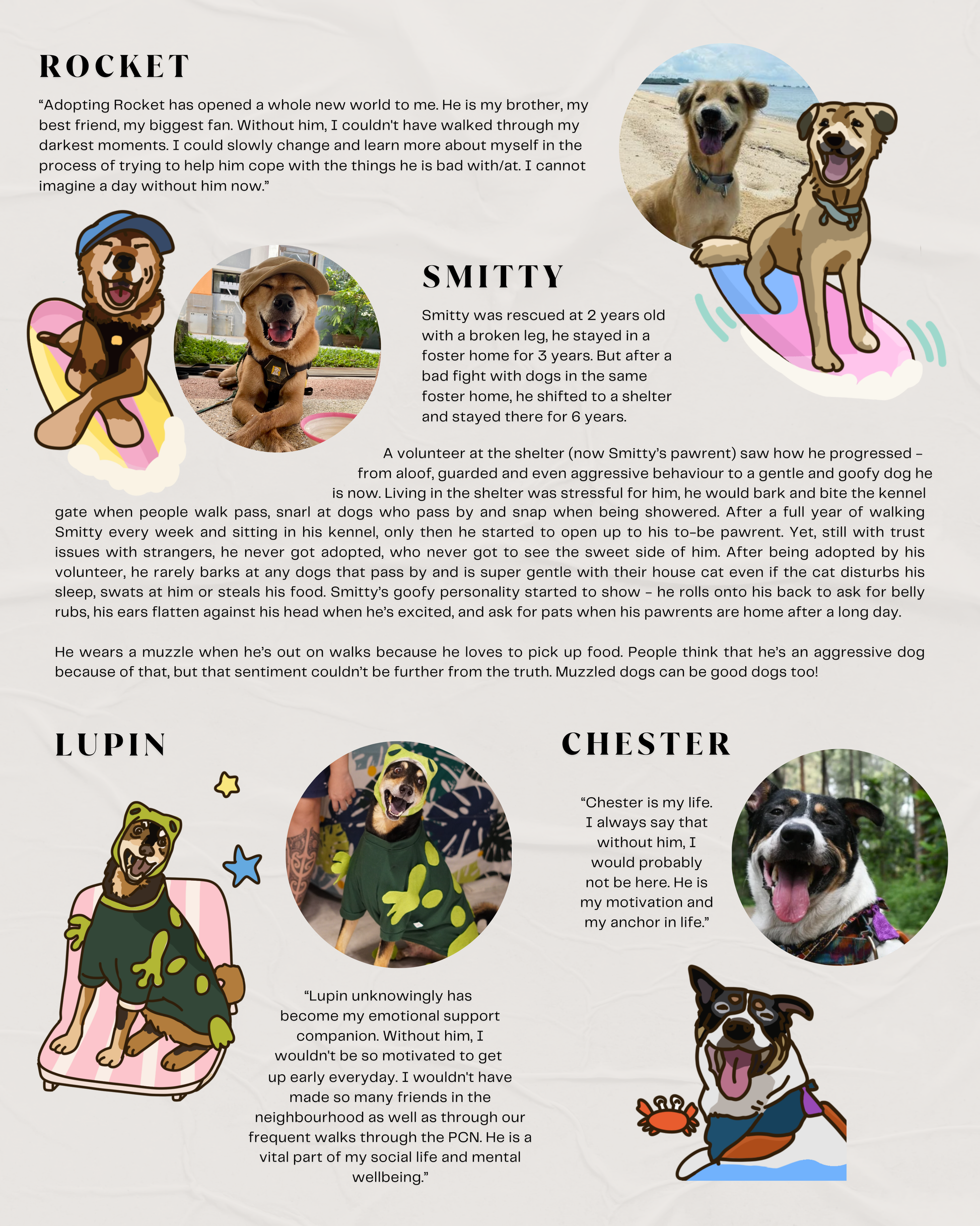 Pet Adoption Dog Walking Shelter Near Me Paws Rescue Dog Shelters