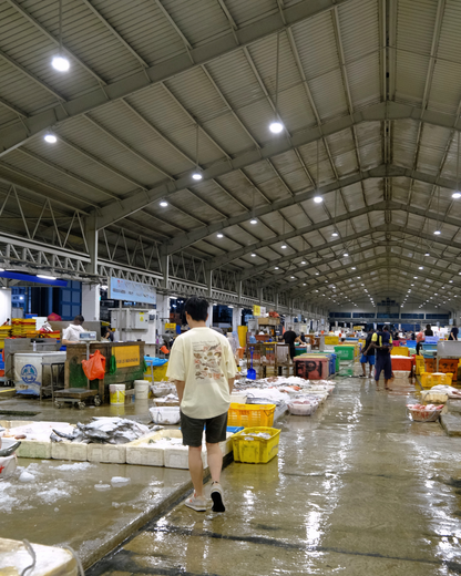 Before They're Served - Singapore's Sharks and Rays - Oversized T-Shirt