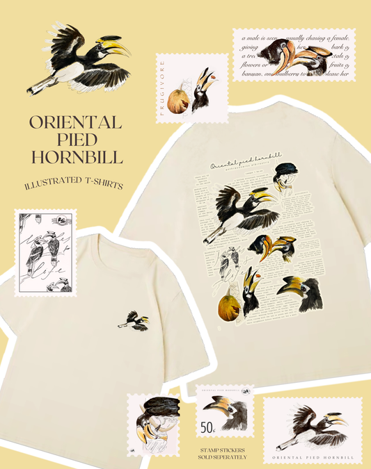 Oriental Pied Hornbill T shirt