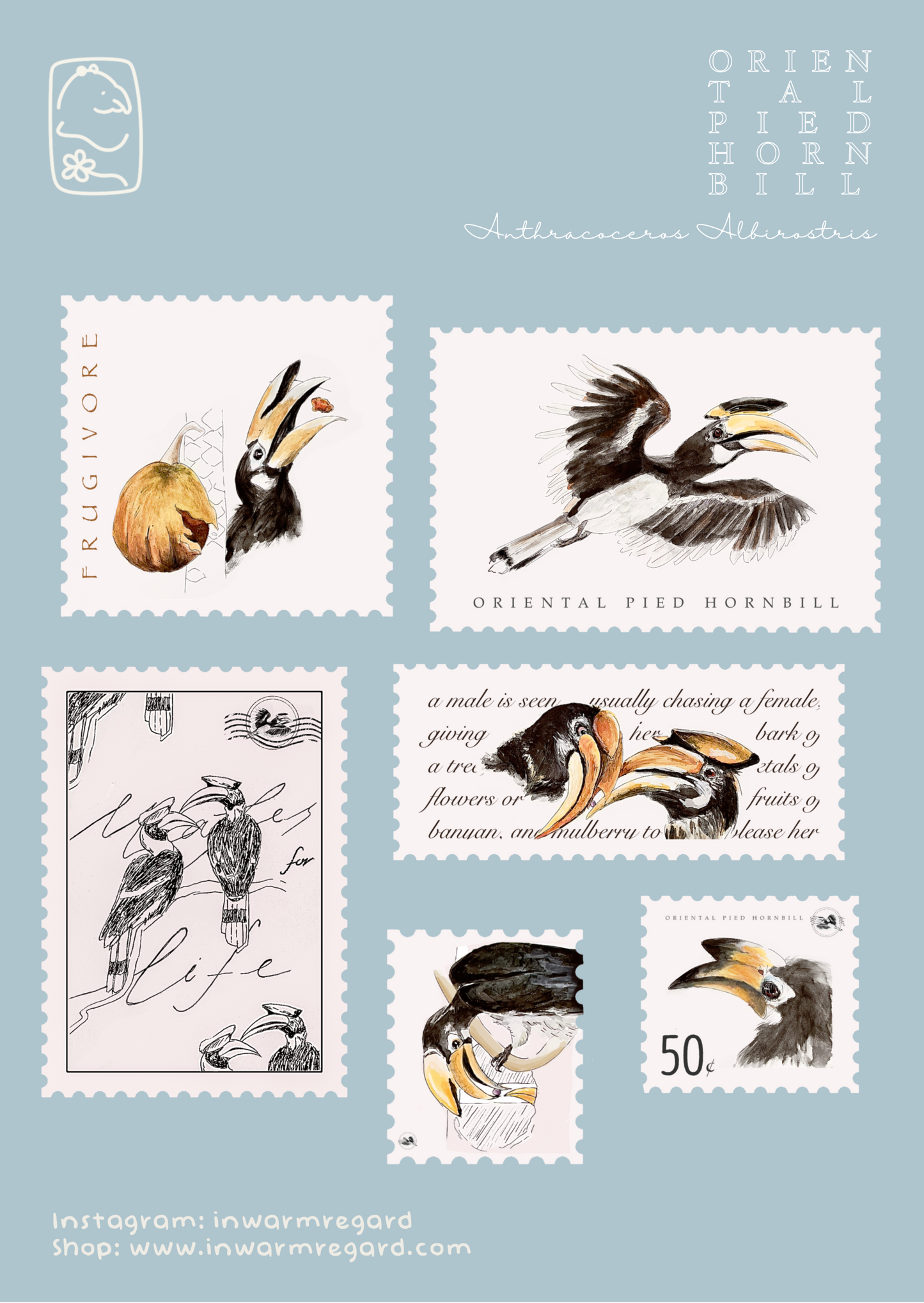 Oriental Pied Hornbill Sticker Sheet(A6)