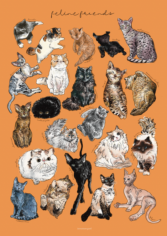 22 Cats 22 Lives Art Print