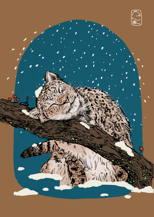 Snow Leopard Art Print