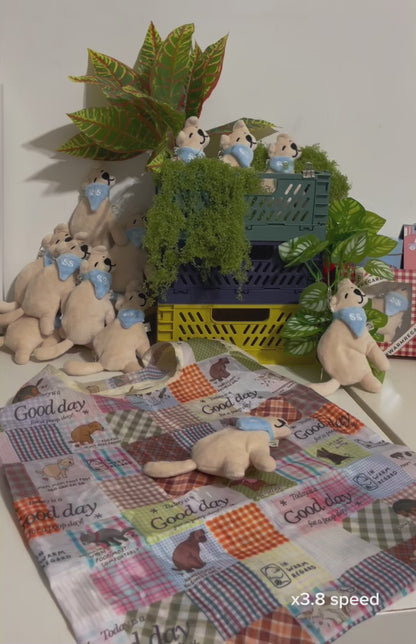 [BACK ORDERS!] Poopy Plushie with Reusable bag