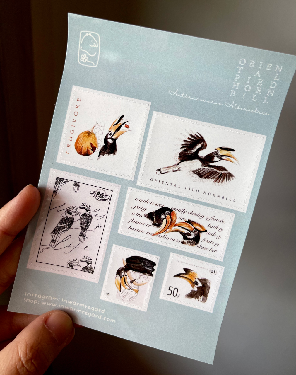 Oriental Pied Hornbill Sticker Sheet(A6)